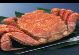 化妝品原料小百科:化妝品原料中的新寵——殼聚糖