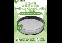 軟骨救星，硫酸軟骨素鈉讓你告別關(guān)節(jié)疼痛！