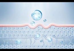 護(hù)膚品滲透和吸收是一回事嗎？